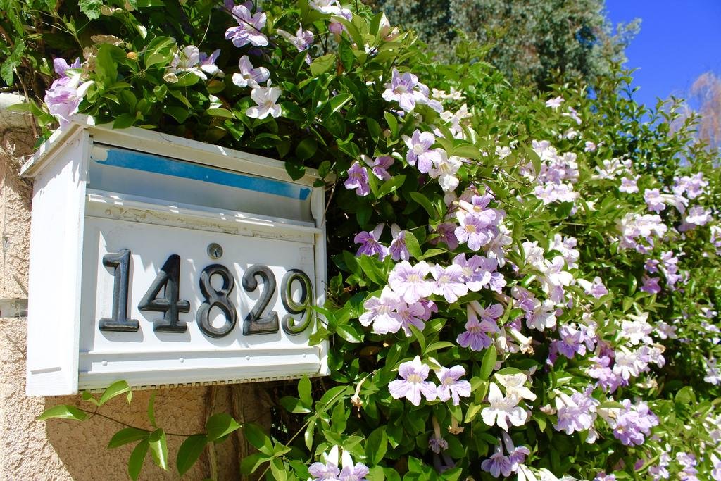 Фото Sweet Dreams B&b