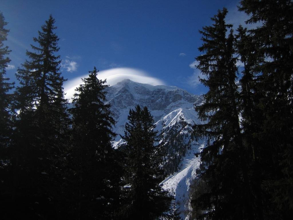 Фото Residence Flora