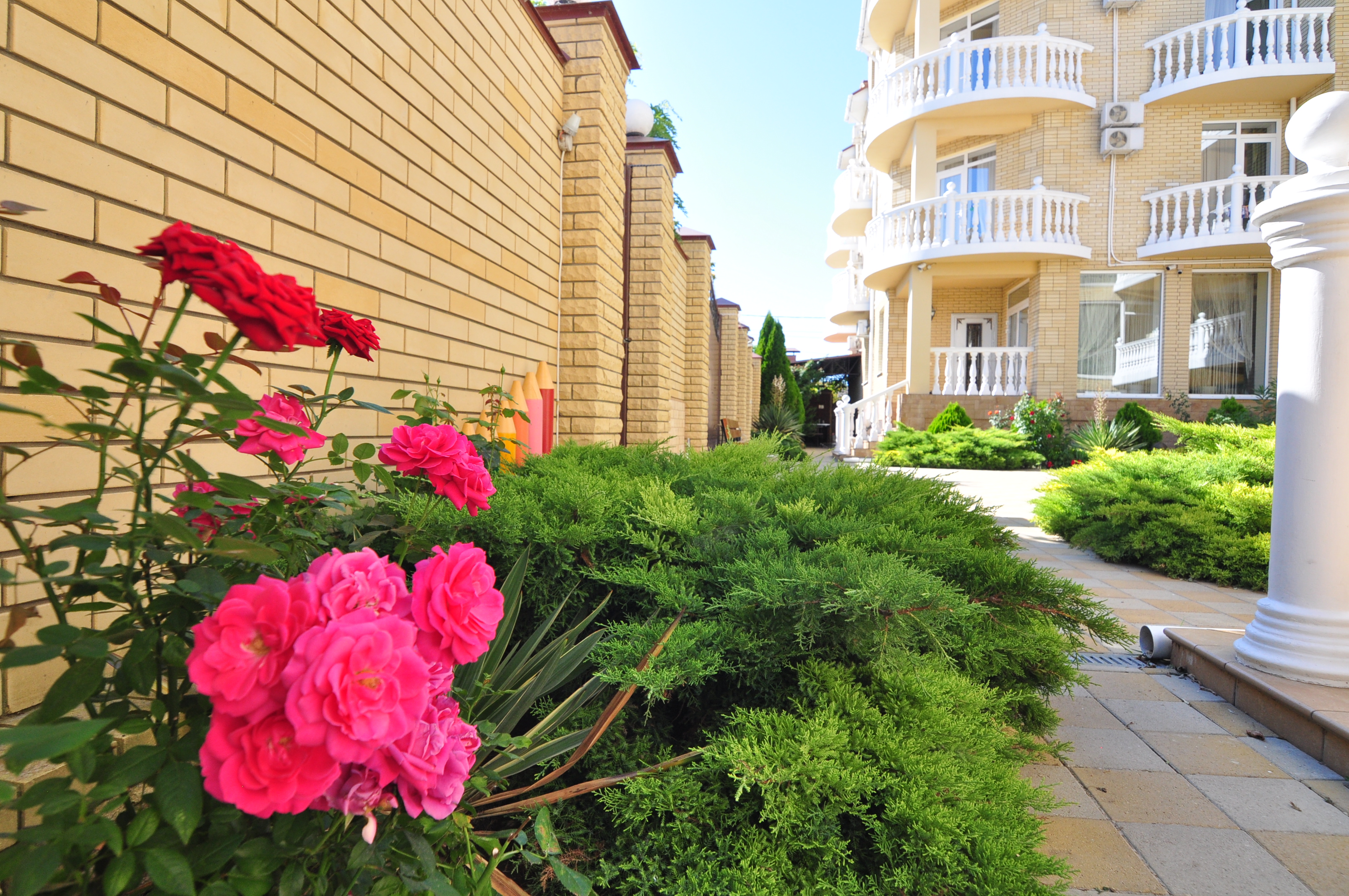 Фото Астория