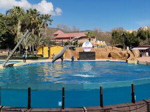 Parque de la Paloma (Autonomous Community of Andalusia, Provincia de Málaga, Torremolinos, Parque de la Paloma), park