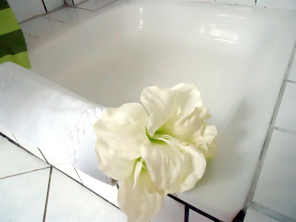 Фото Hotel Bejuna