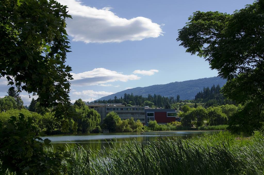 Фото Comfort Inn & Suites