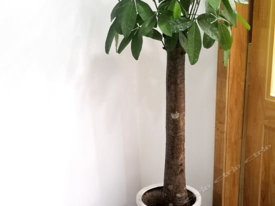 Фото Qixia Hotel