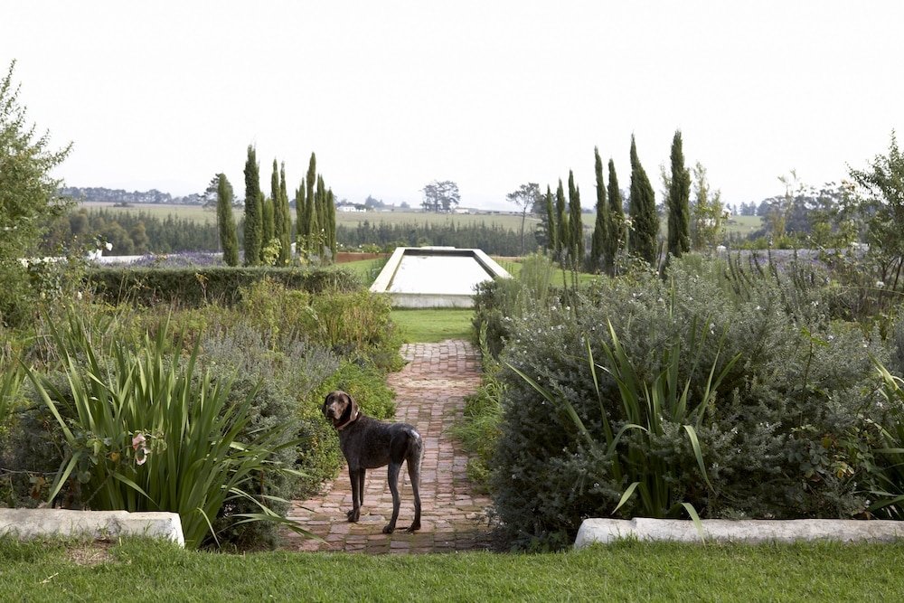 Фото Hawksmoor House