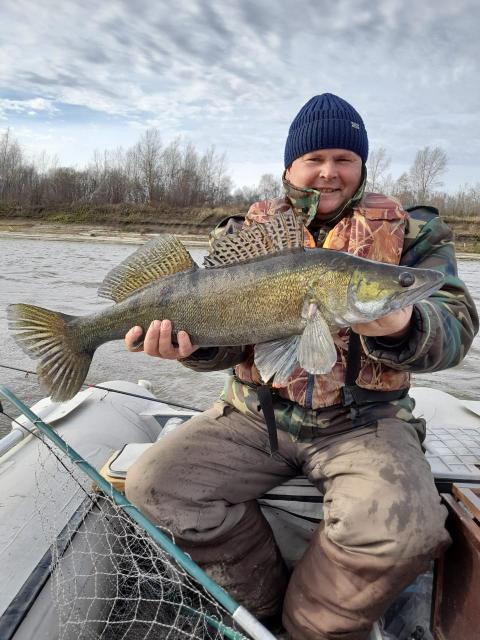 Фото Домик на дереве
