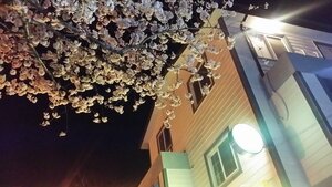 Гостиница Ganderak Guest House