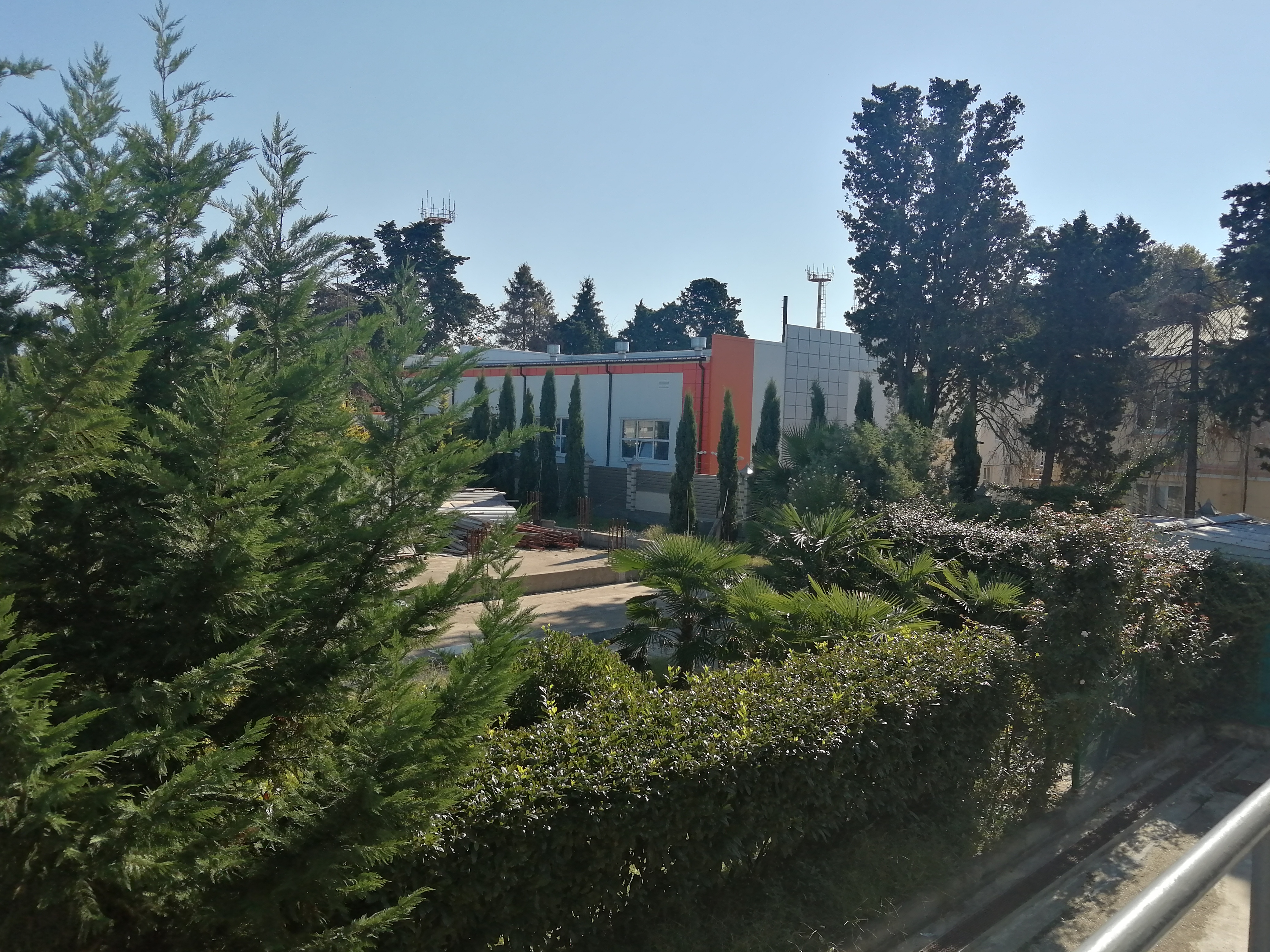 Фото Золотой огонек