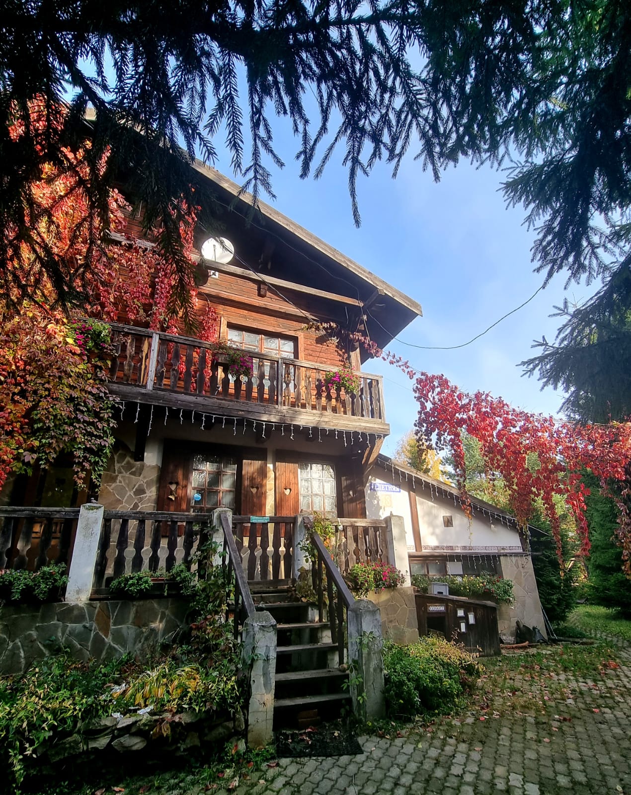 Фото Dream Village