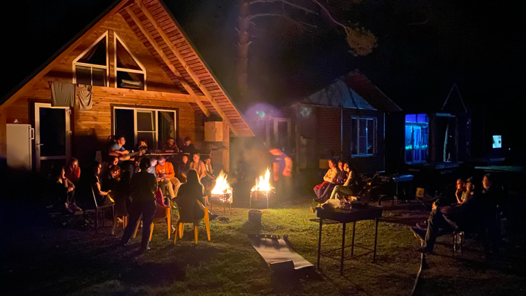 Фото Лесной кот