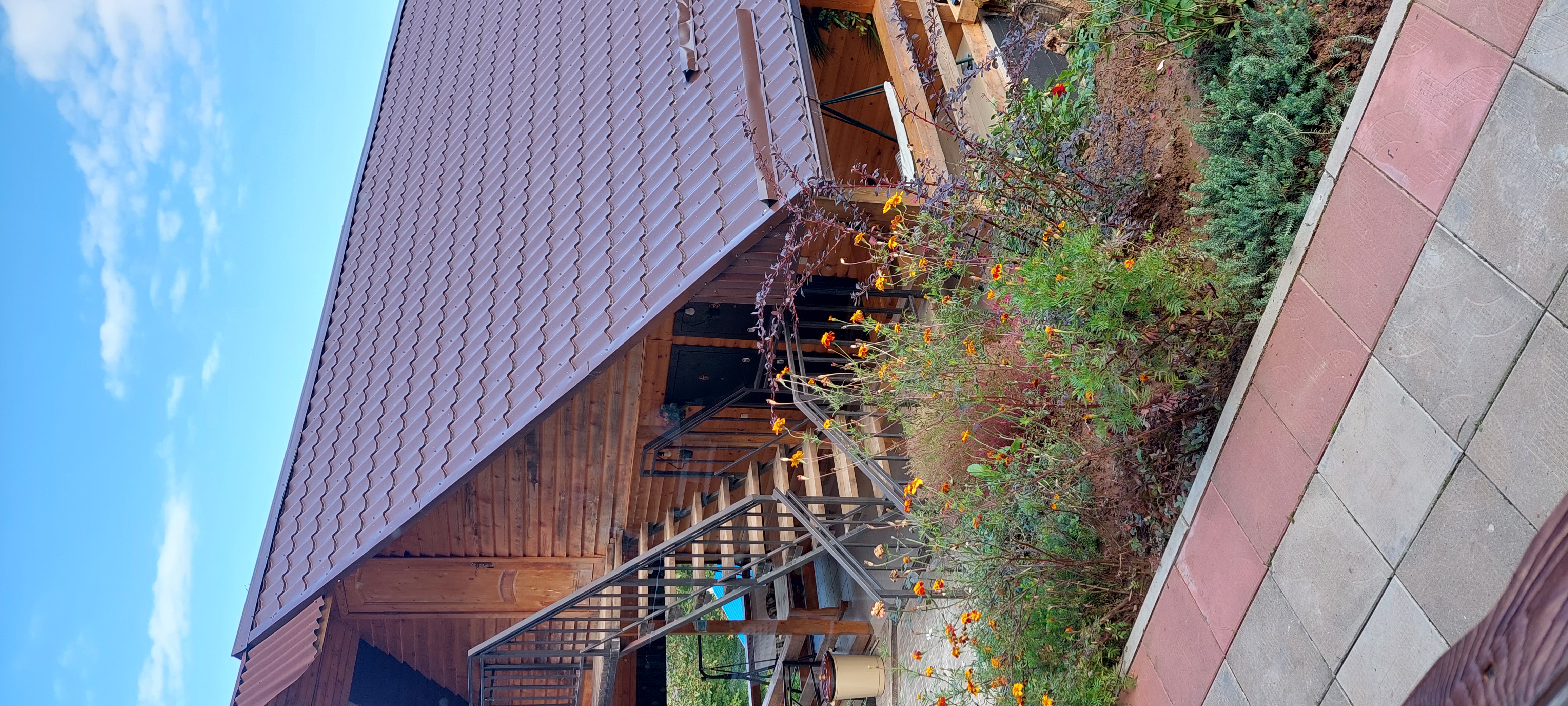 Фото Дом Совы