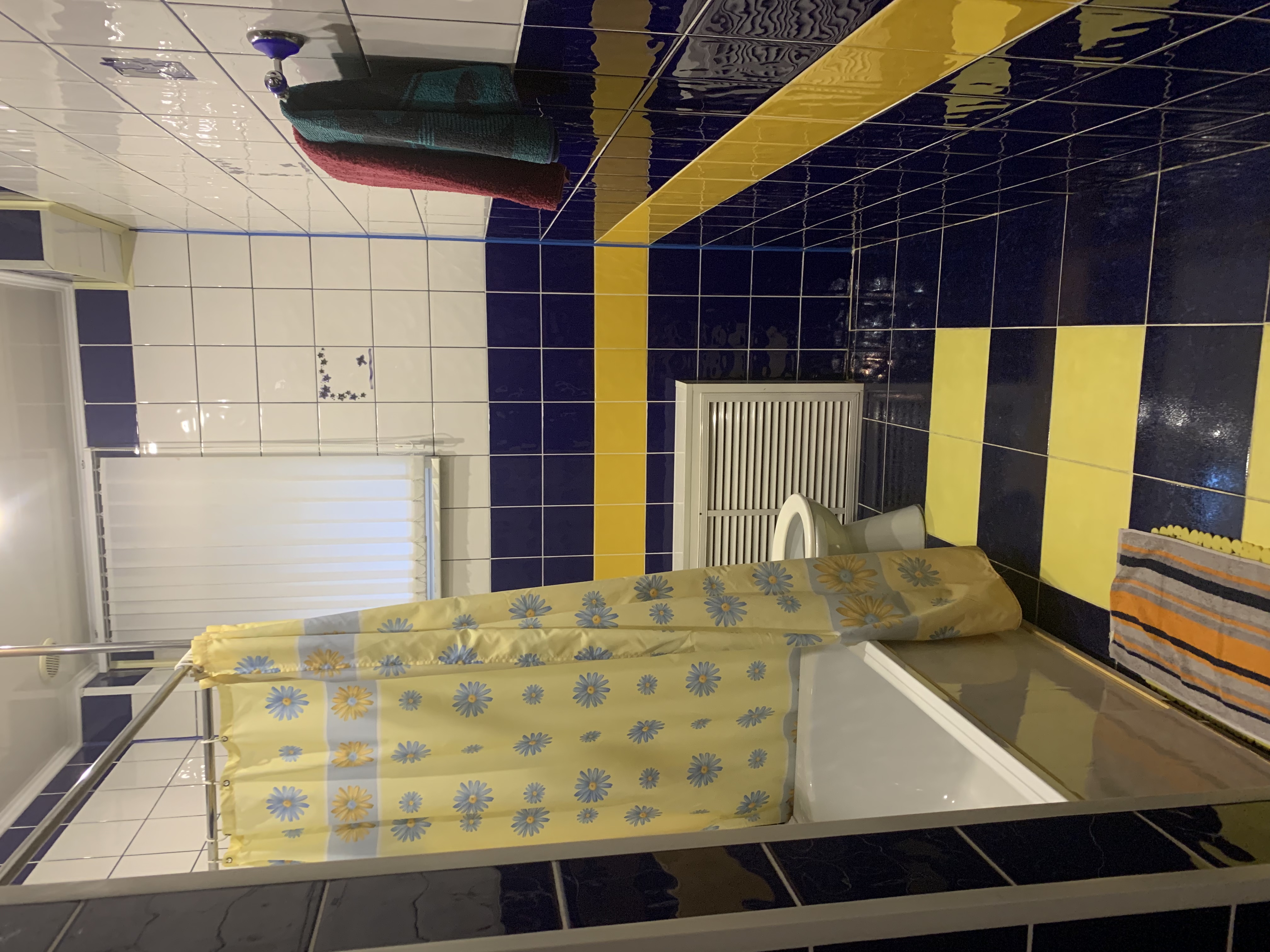 Фото Сосны плюс