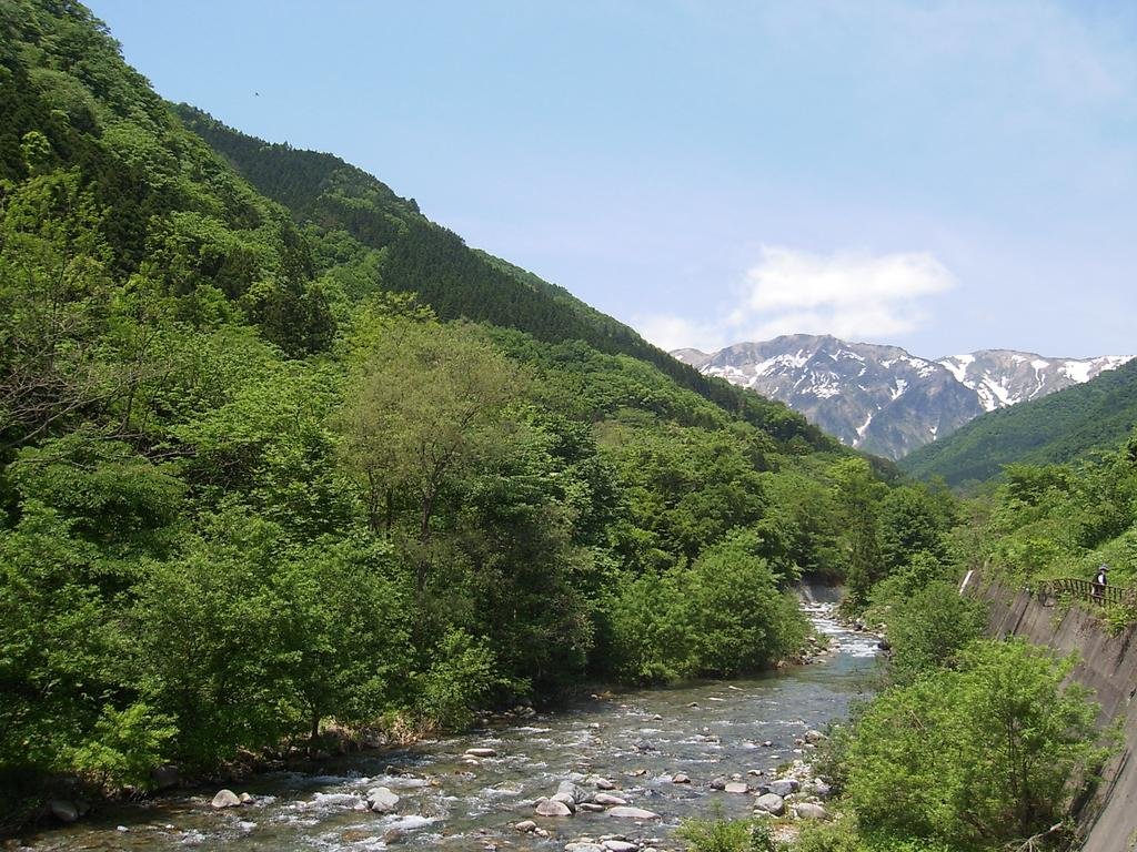 Фото Natural House Pure 21