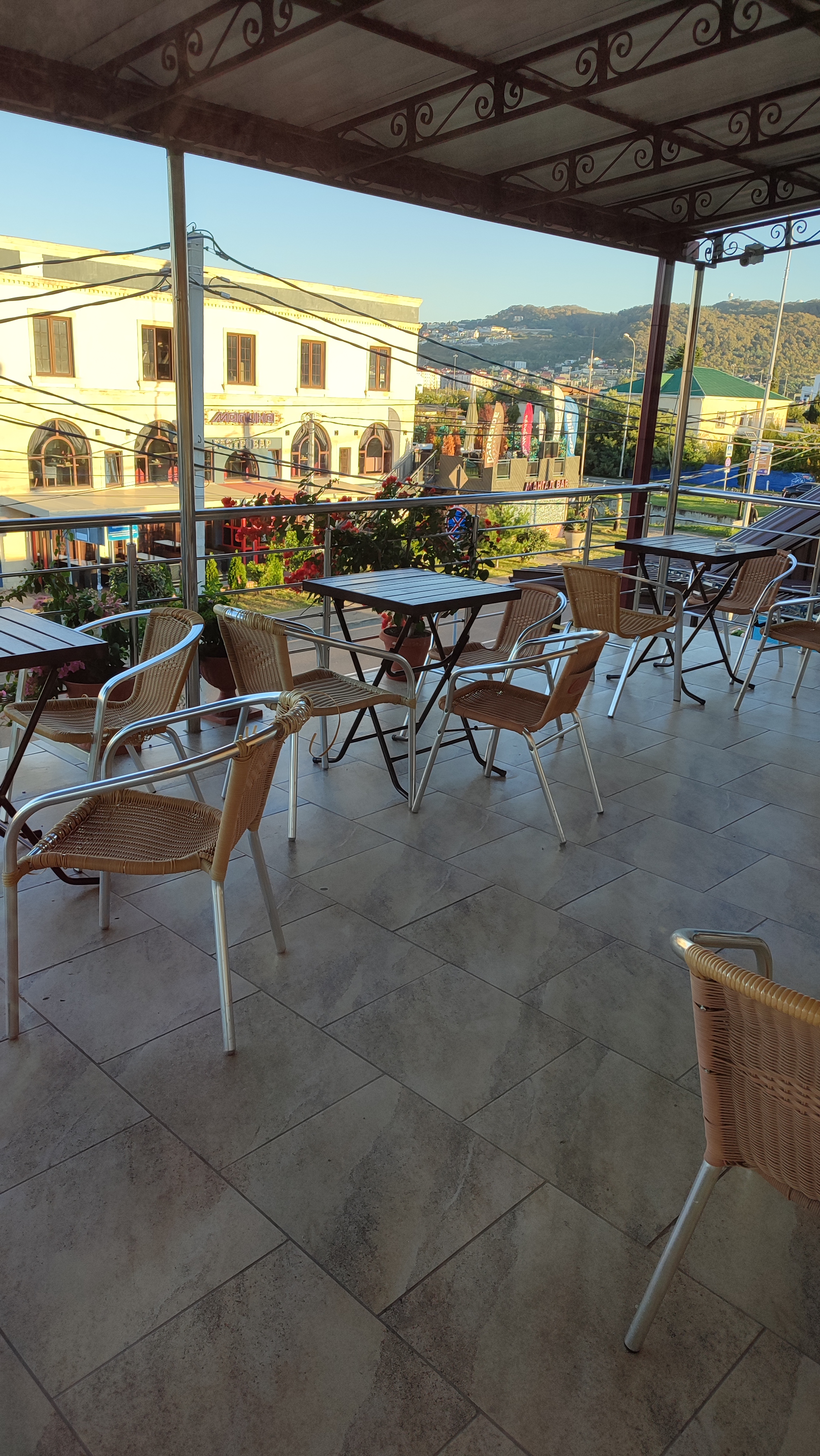 Фото Дельфин