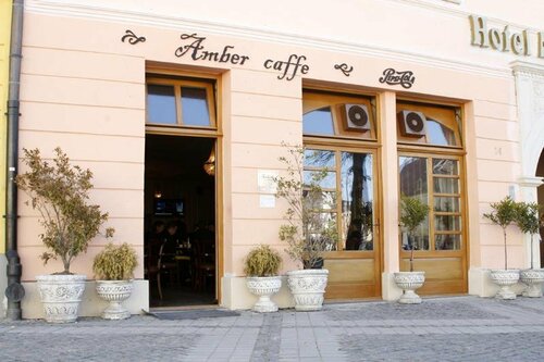 Гостиница Hotel Am Ring в Сибиу