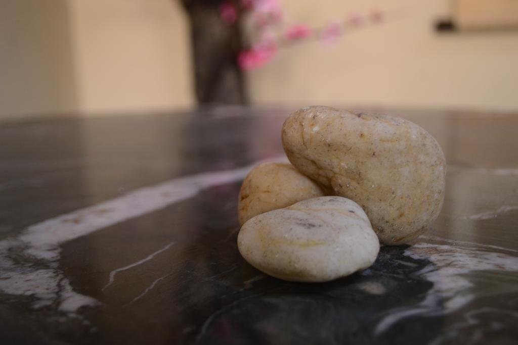 Фото Plum Blossom