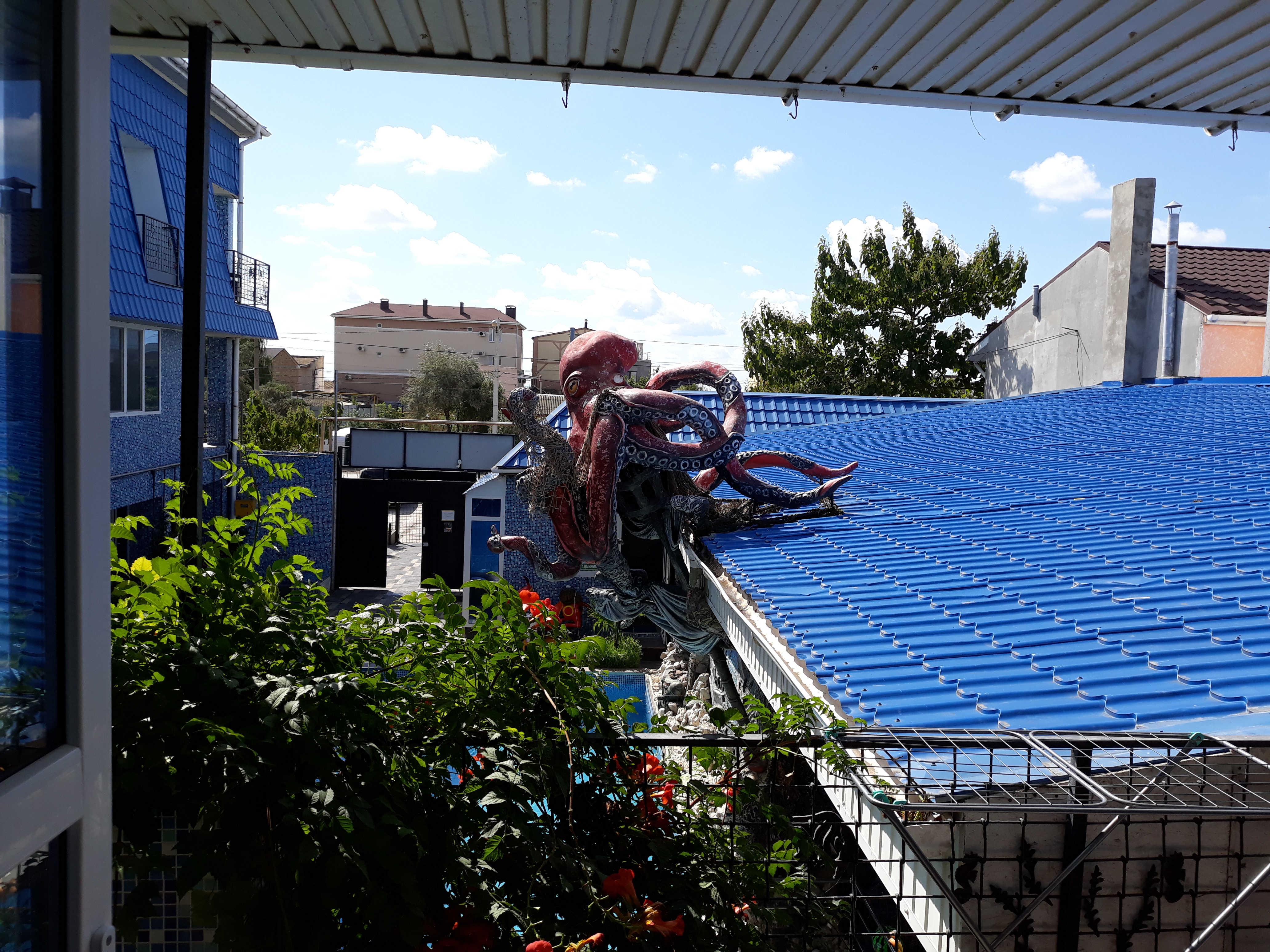 Фото Золотая рыбка