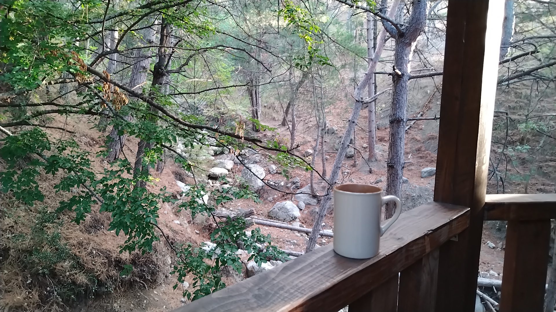 Фото Лесная Сказка