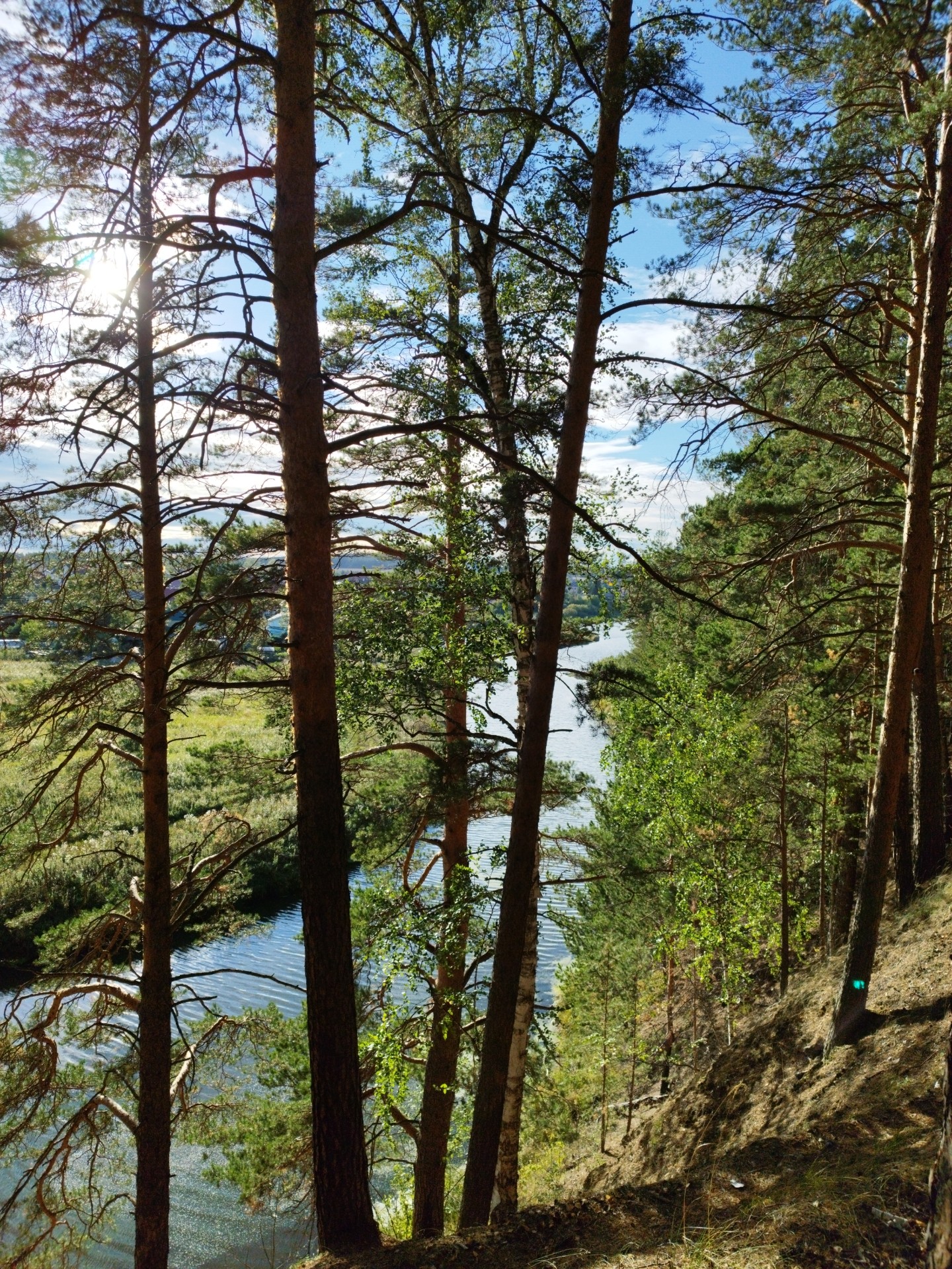 Фото Иволга