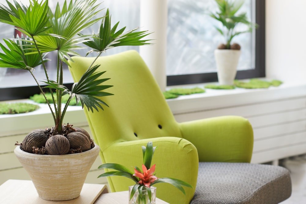 Фото Hotel Palm - Astotel