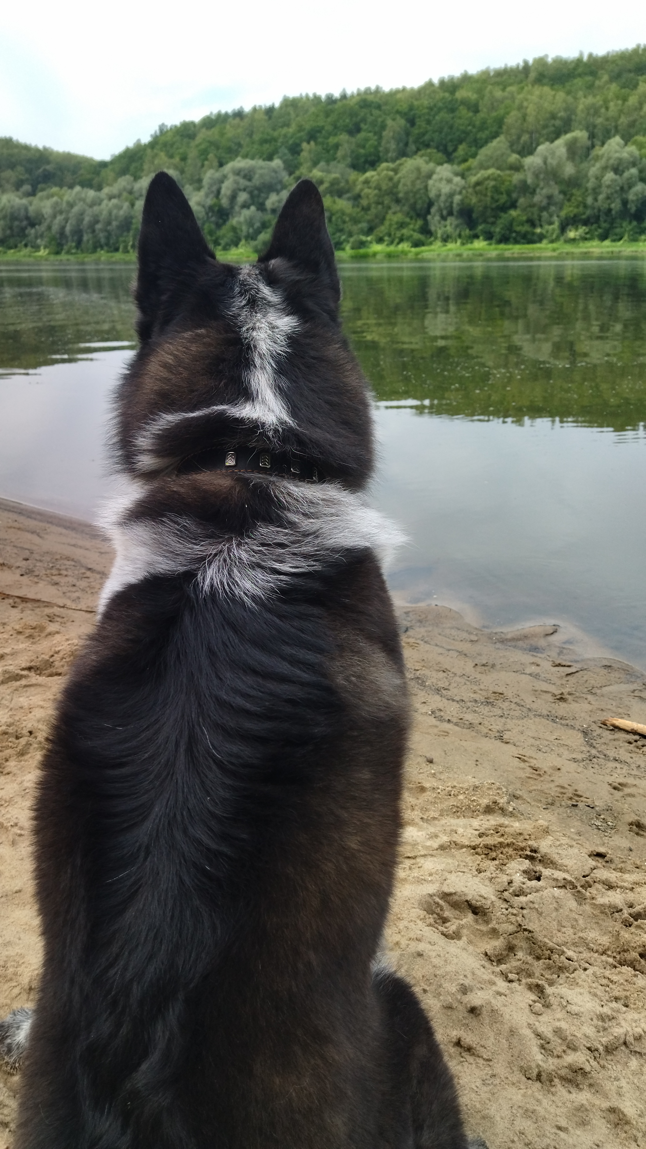 Фото Премьера