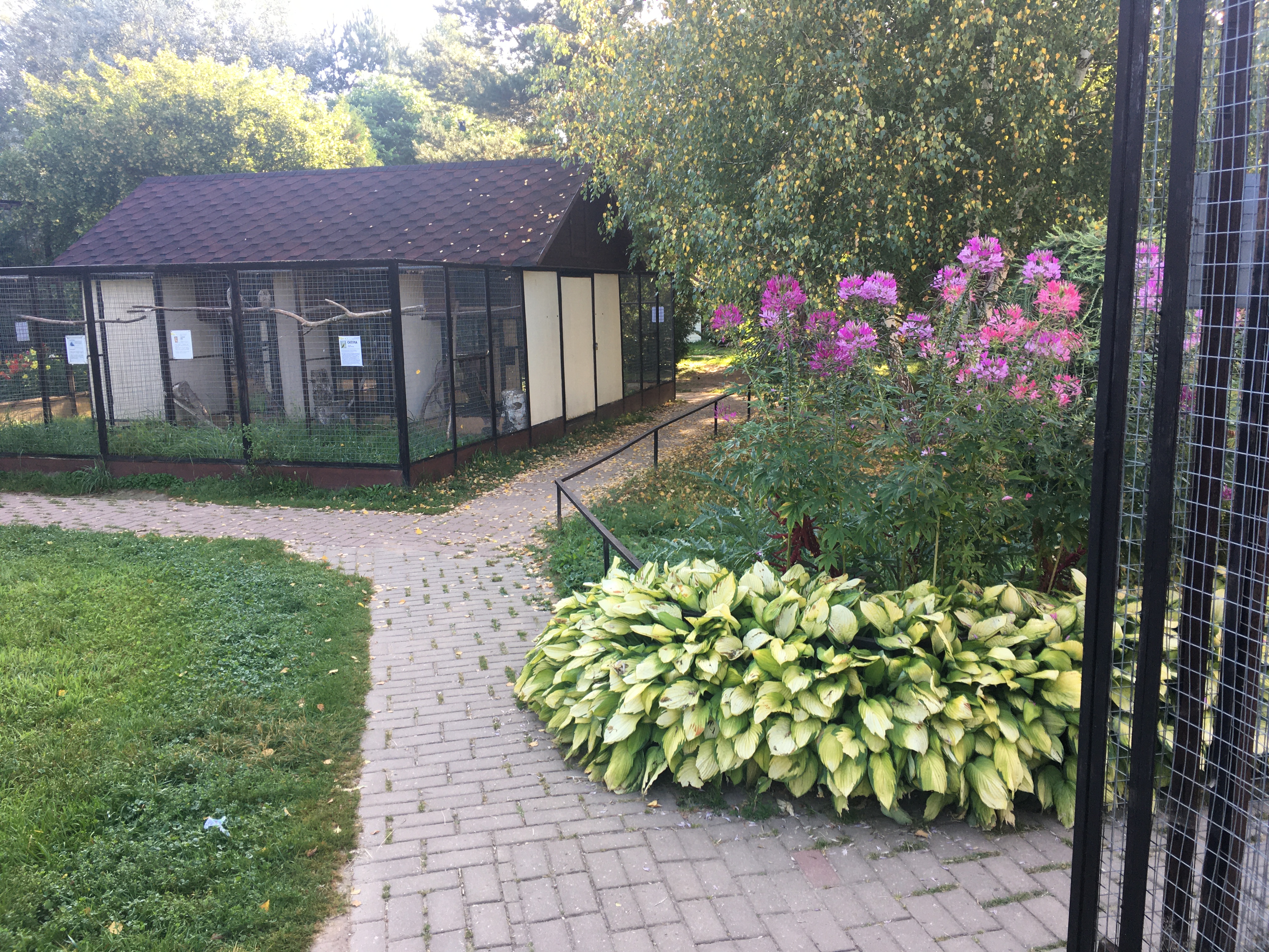 Фото Гостиница Парк Птиц