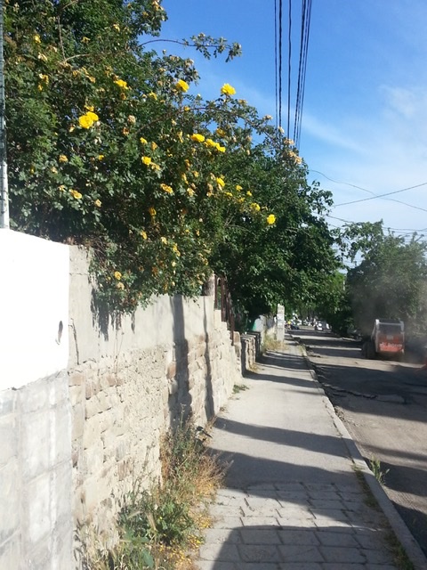 Фото Грин Палац