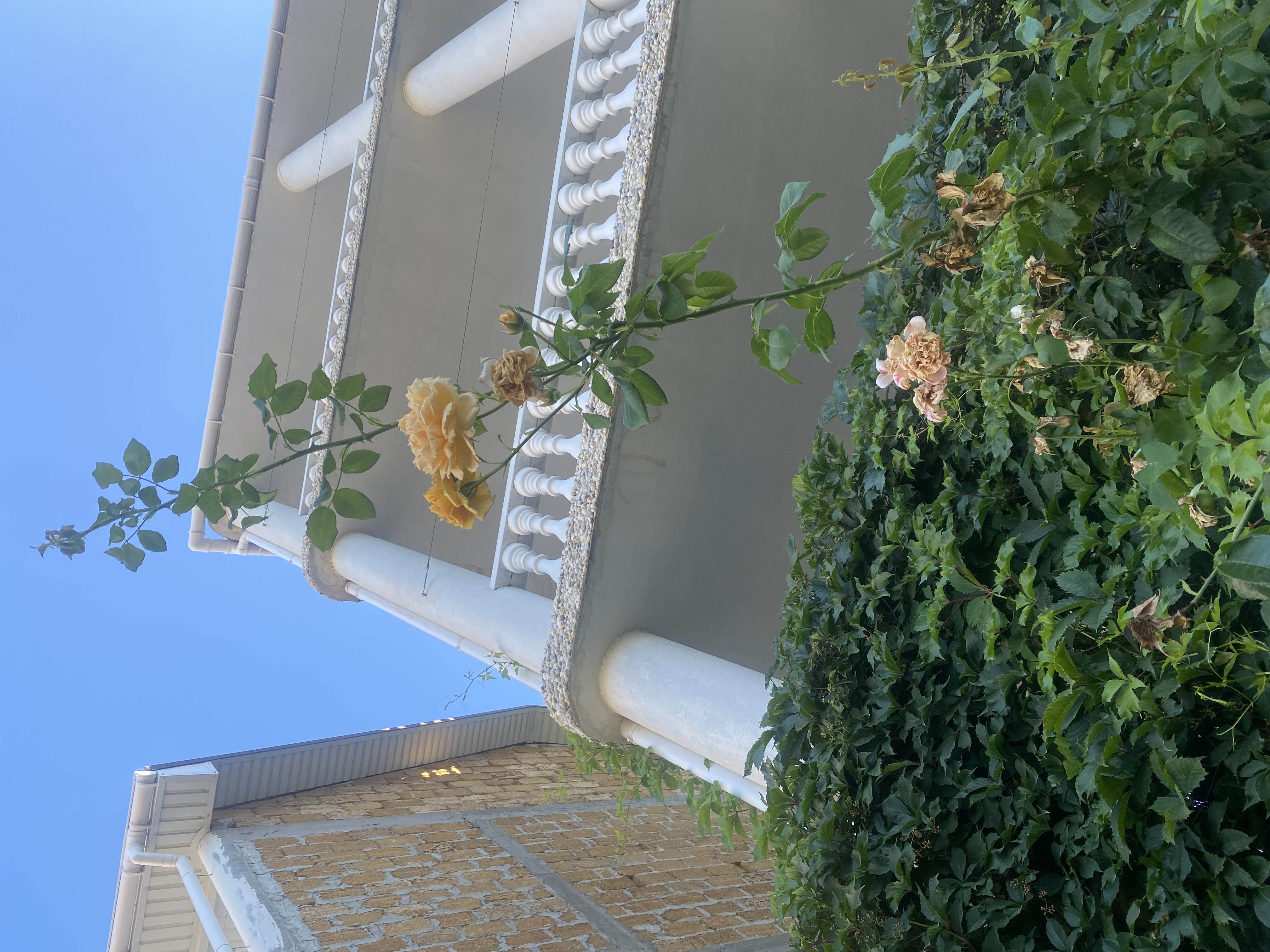 Фото Радуга