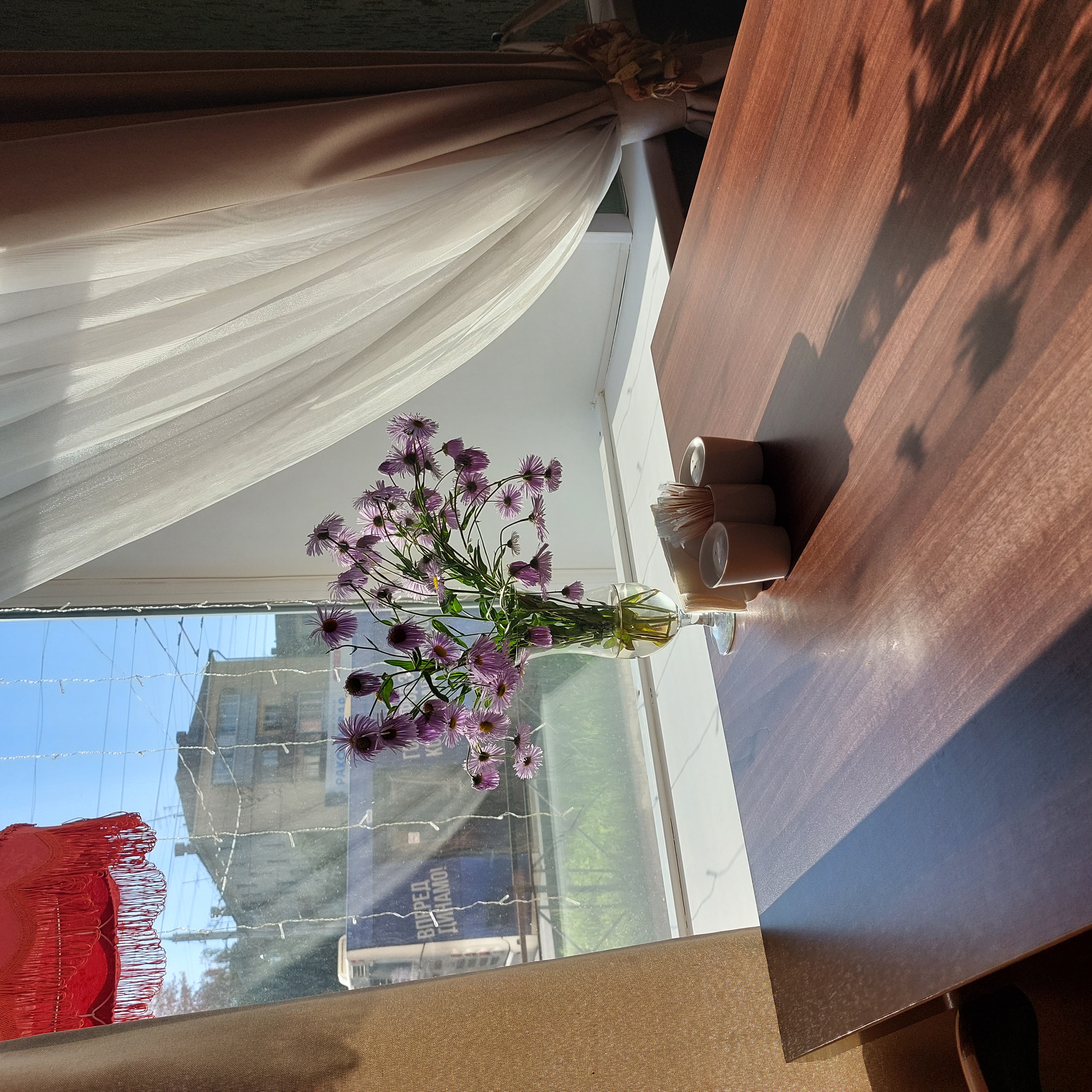 Фото Мартон Вологда