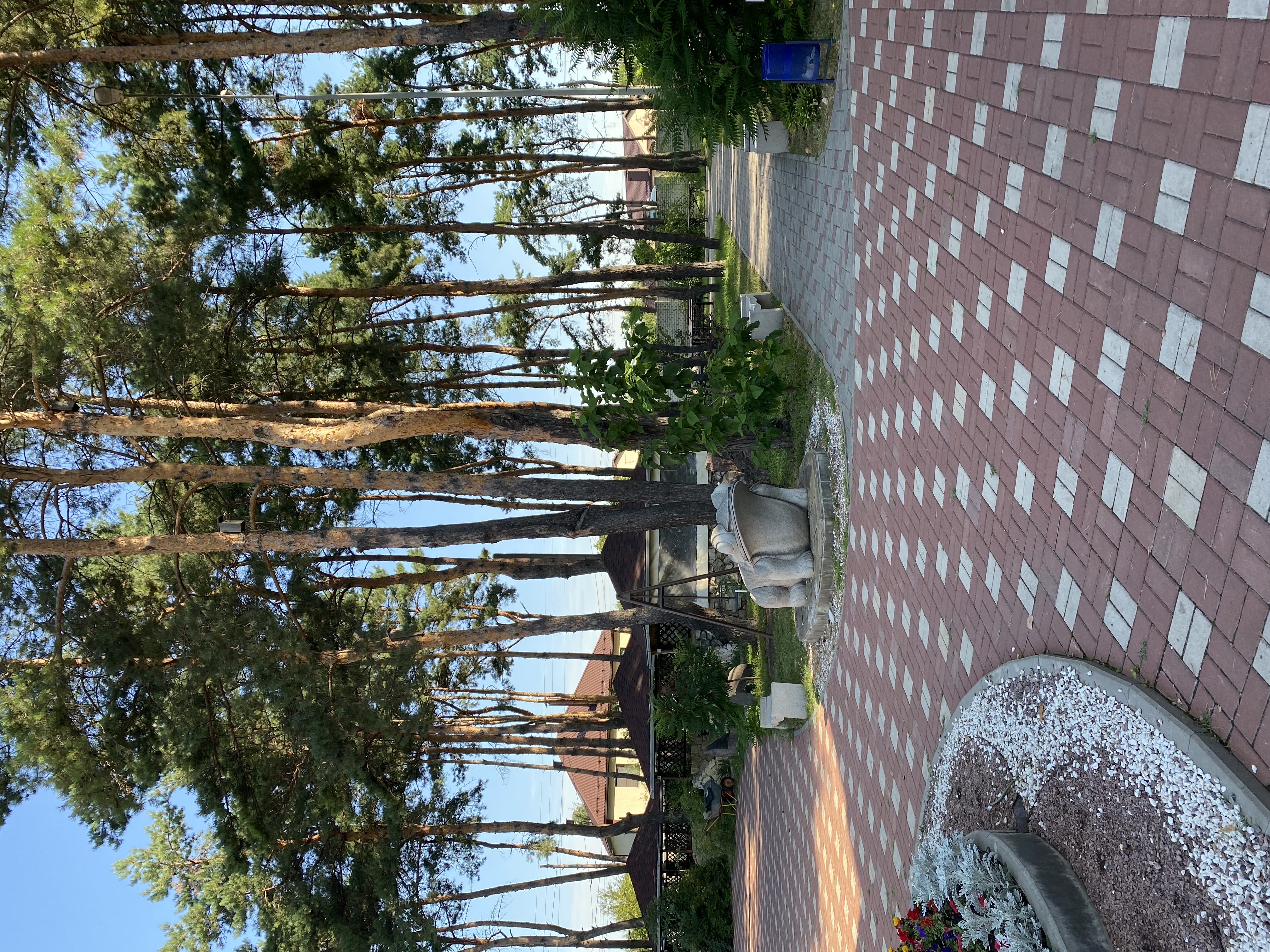 Фото Санлайт