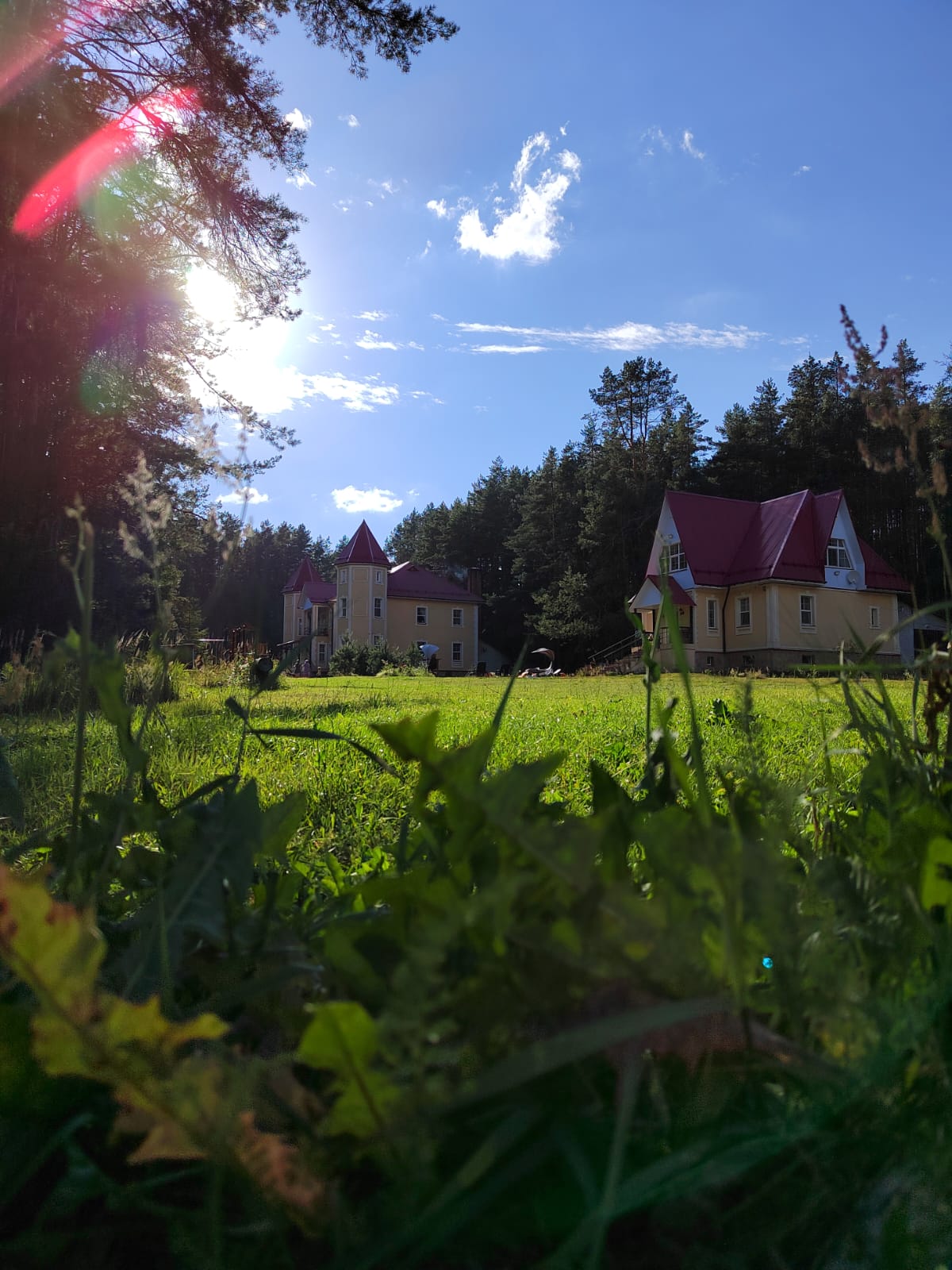 Фото Вселуг