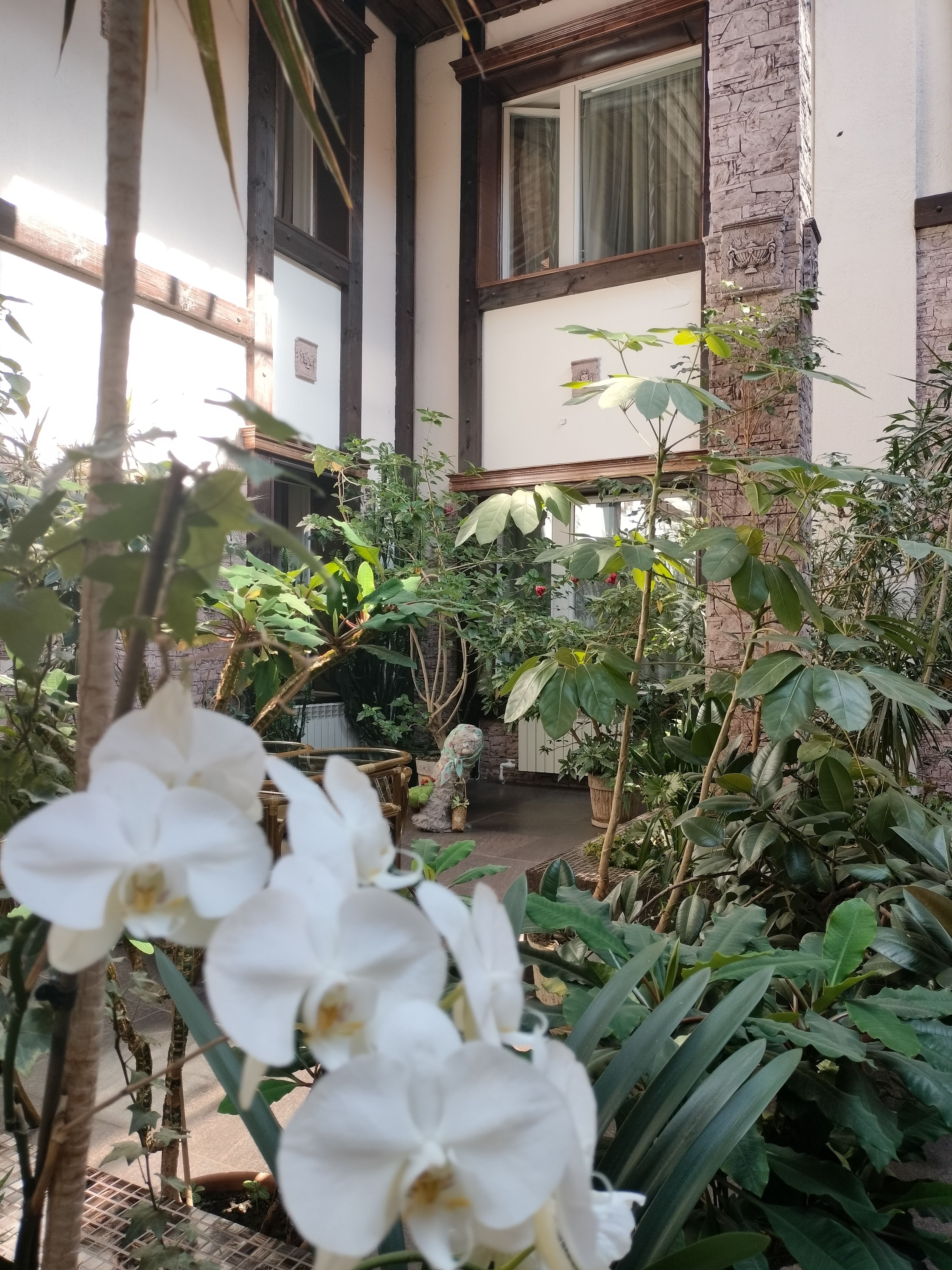 Фото Вознесенская