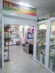 Цветомания (Worker Settlement of Navlya, Krasnykh Partizan Street, 23) ، محل زهور