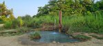 Сероводородный источник (Autonomous Republic of Abkhazia, Gudautskiy munitsipalitet), spring, stream