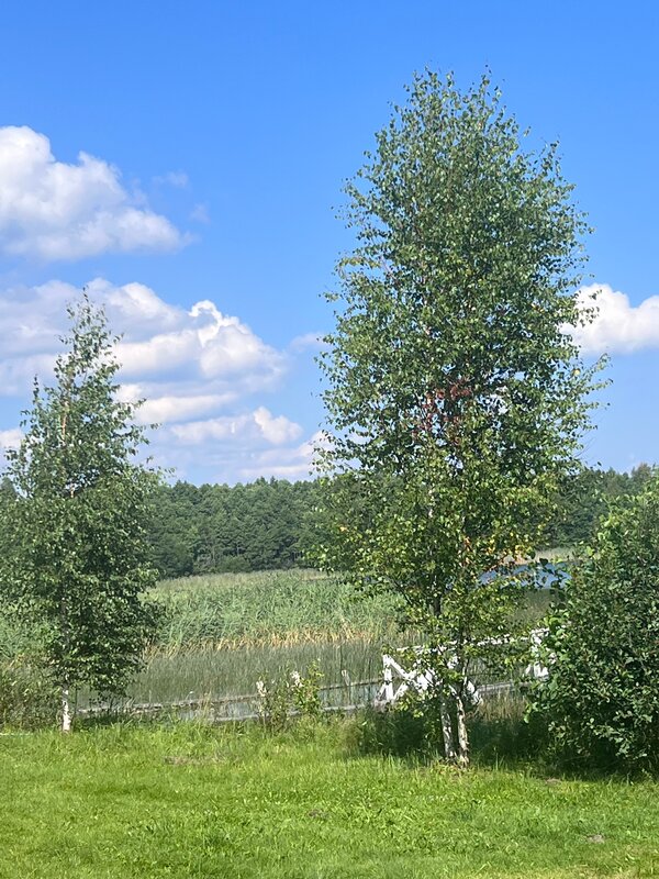 Усадьба Забелье 4 — фото 13