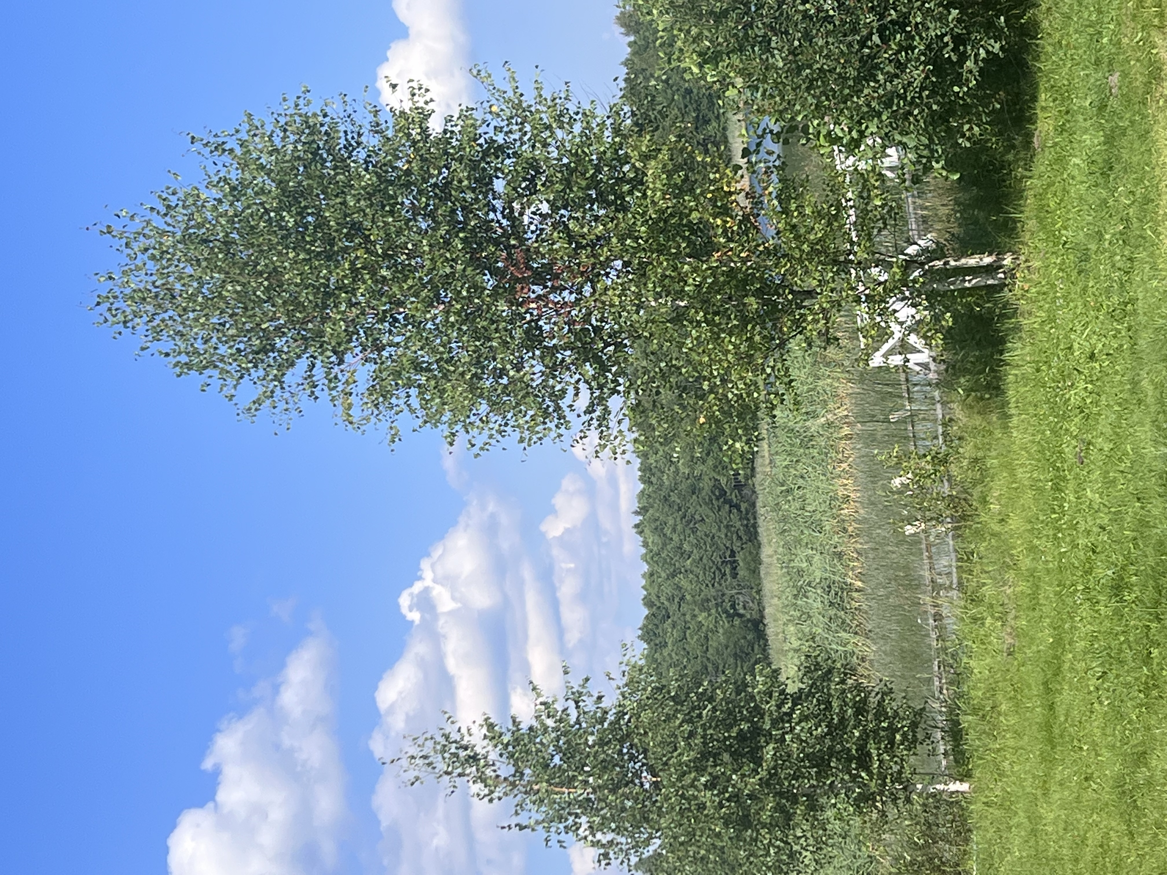 Фото Усадьба Забелье 4