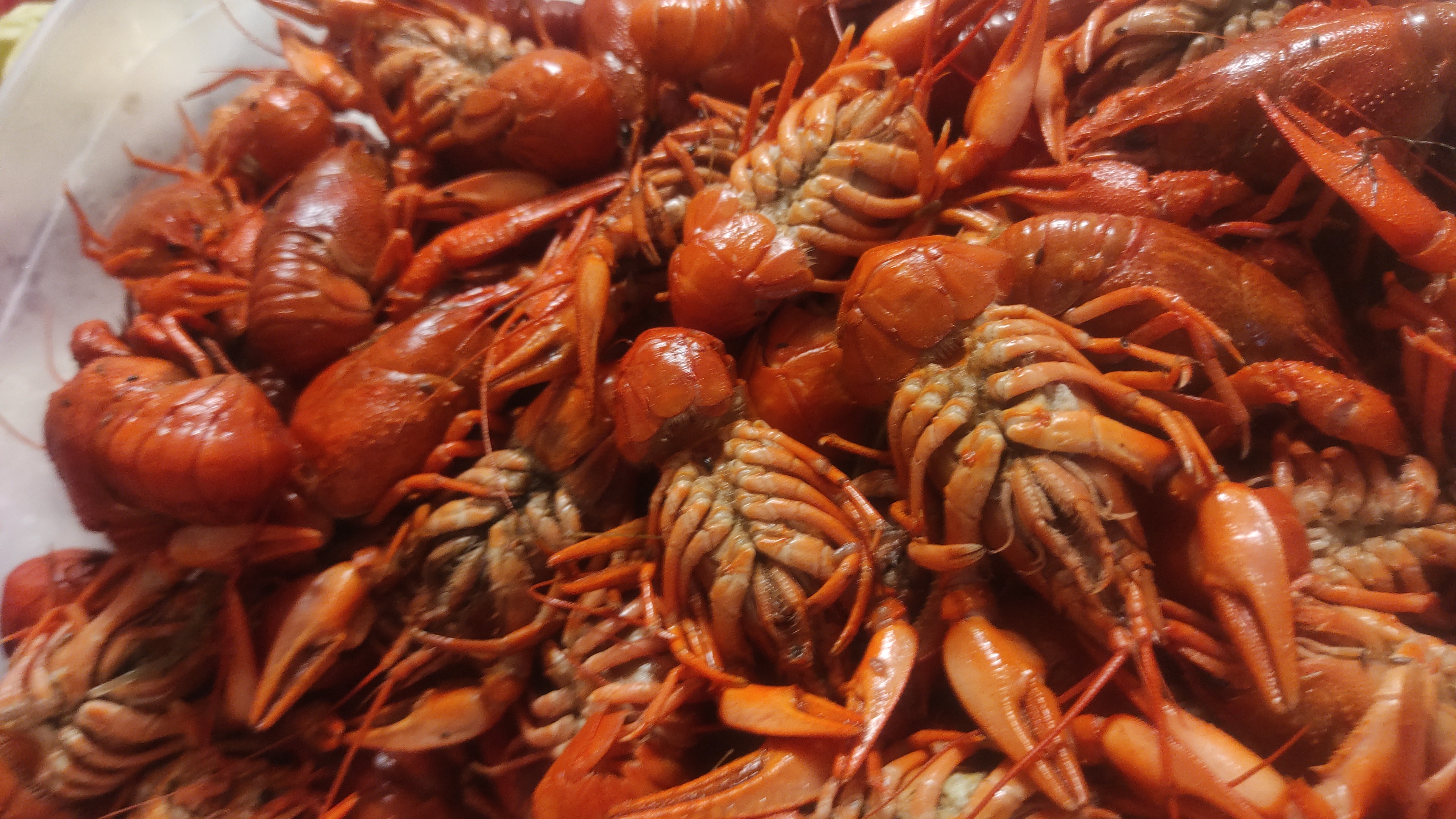 Фото Сари-Ял