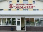 Азалия (Транспортная ул., 40, Томск), магазин цветов в Томске