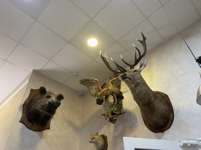 Фото Таёжный охотник