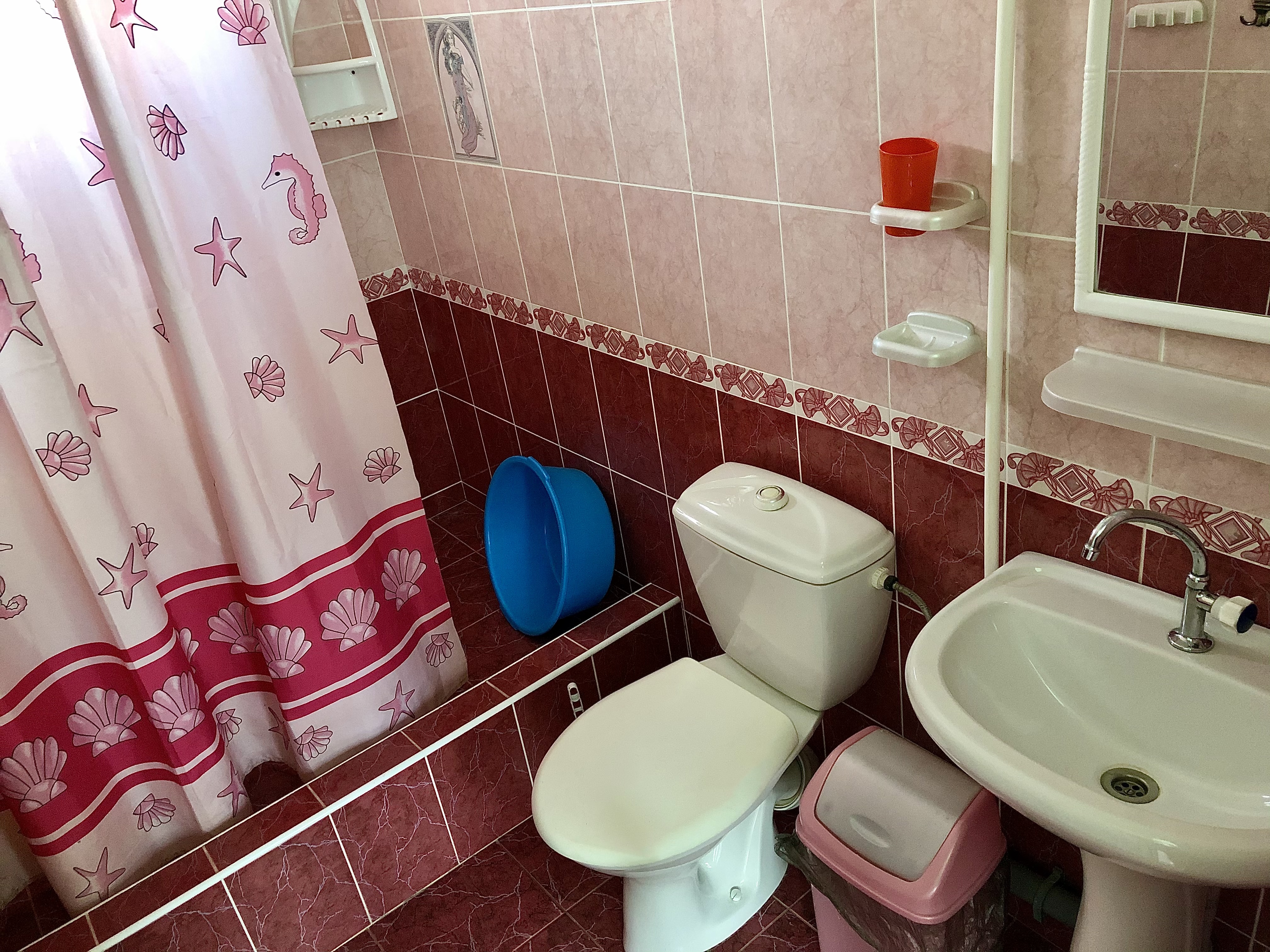 Фото Белая берёза