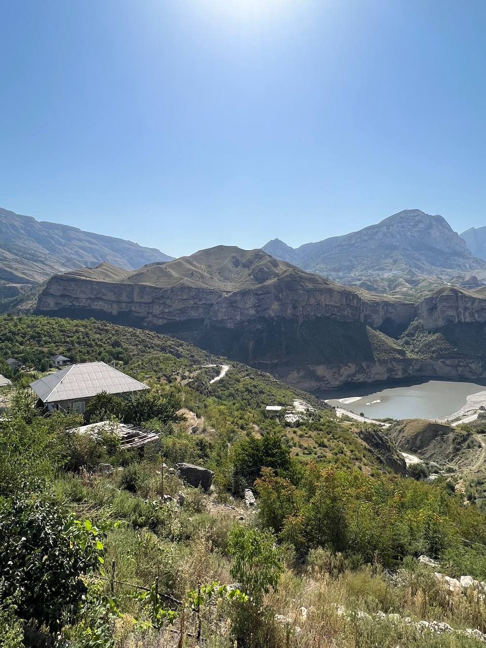 Фото Родное гнездо