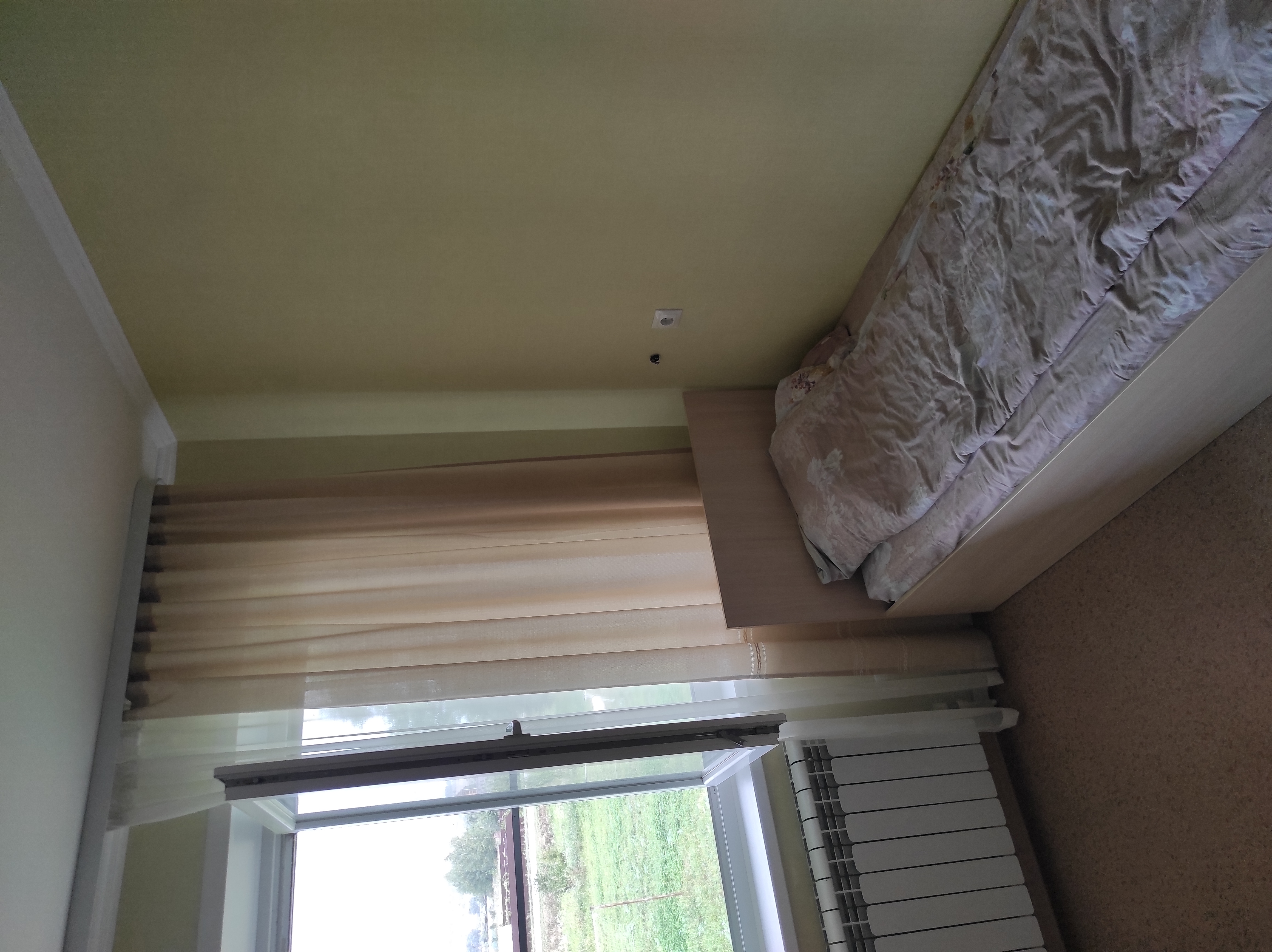 Фото Берёзка