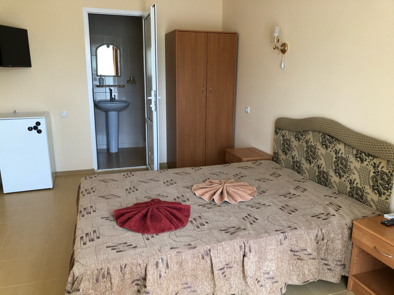 Фото Фламинго