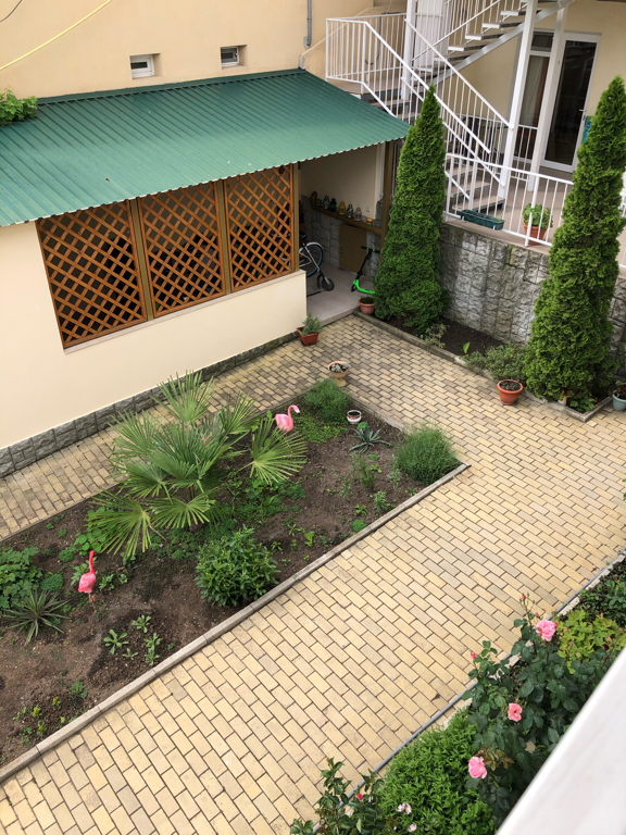 Фото Фламинго