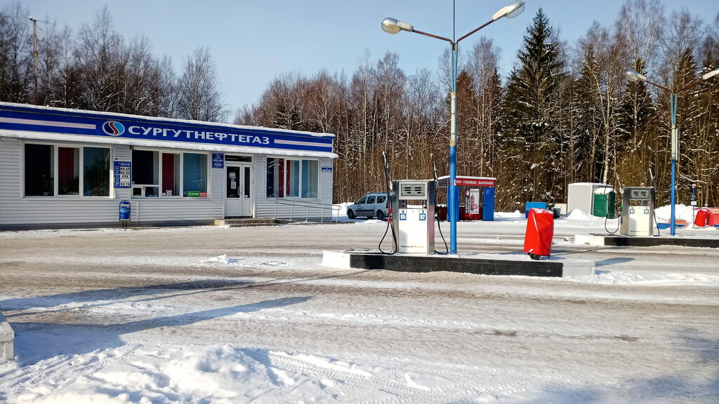 АЗС Сургутнефтегаз, Новгородская область, фото