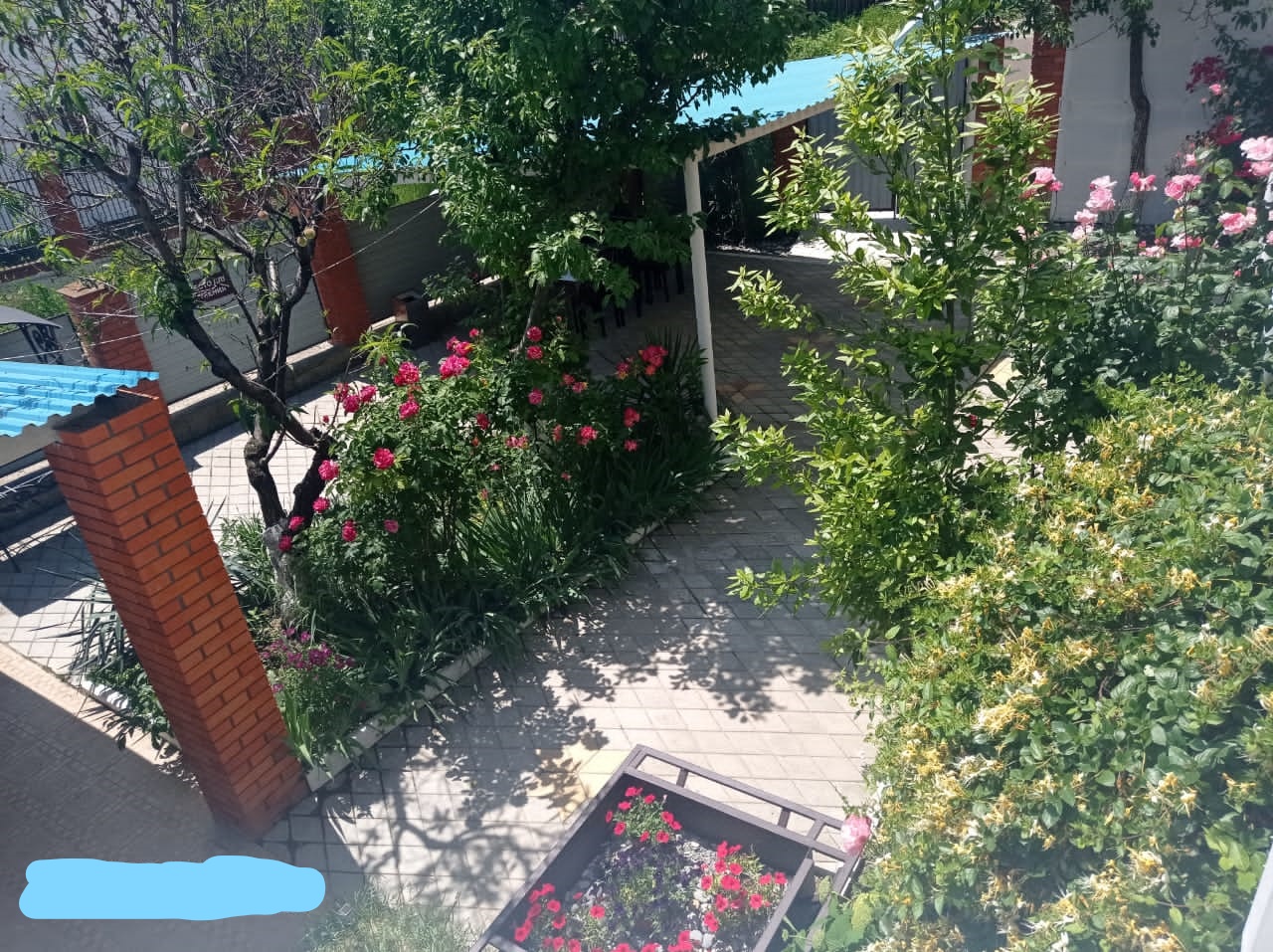 Фото Мелодия Джубги