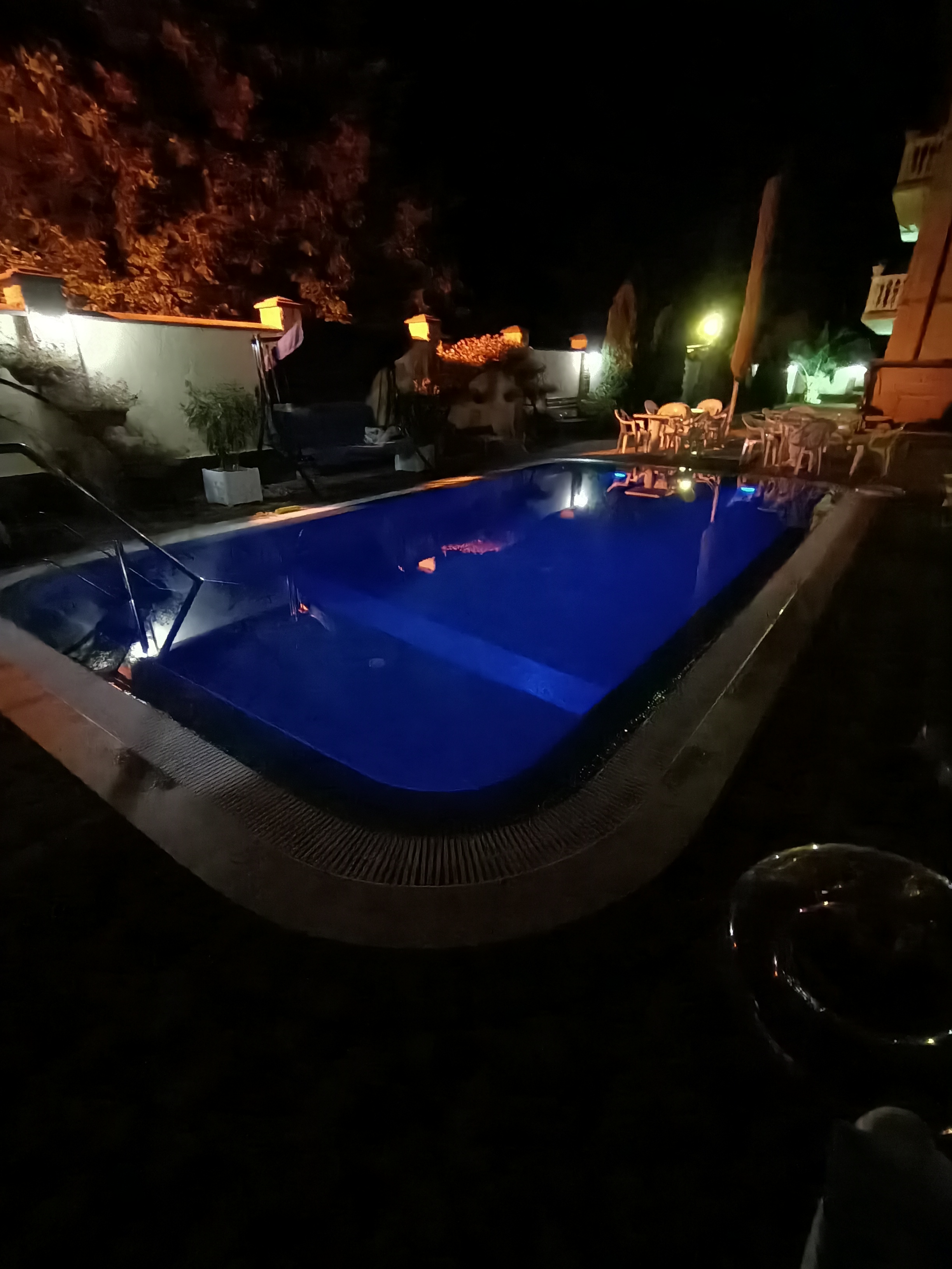 Фото Золотой Лев