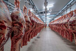 Vector. Cool (Zapadniy City administrative district, Kharkovskaya ulitsa, 81/1), industrial refrigeration equipment