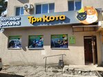 Три кота (Voroshilova Street, 26), pet shop