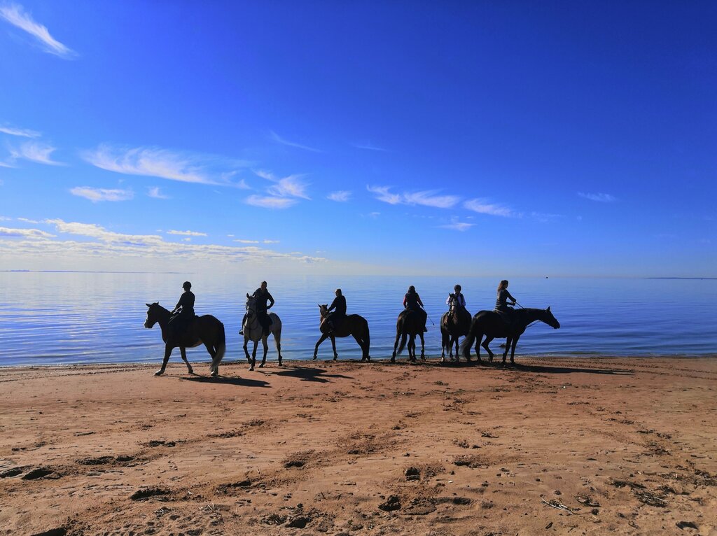 Beach Beach, Saint Petersburg, photo