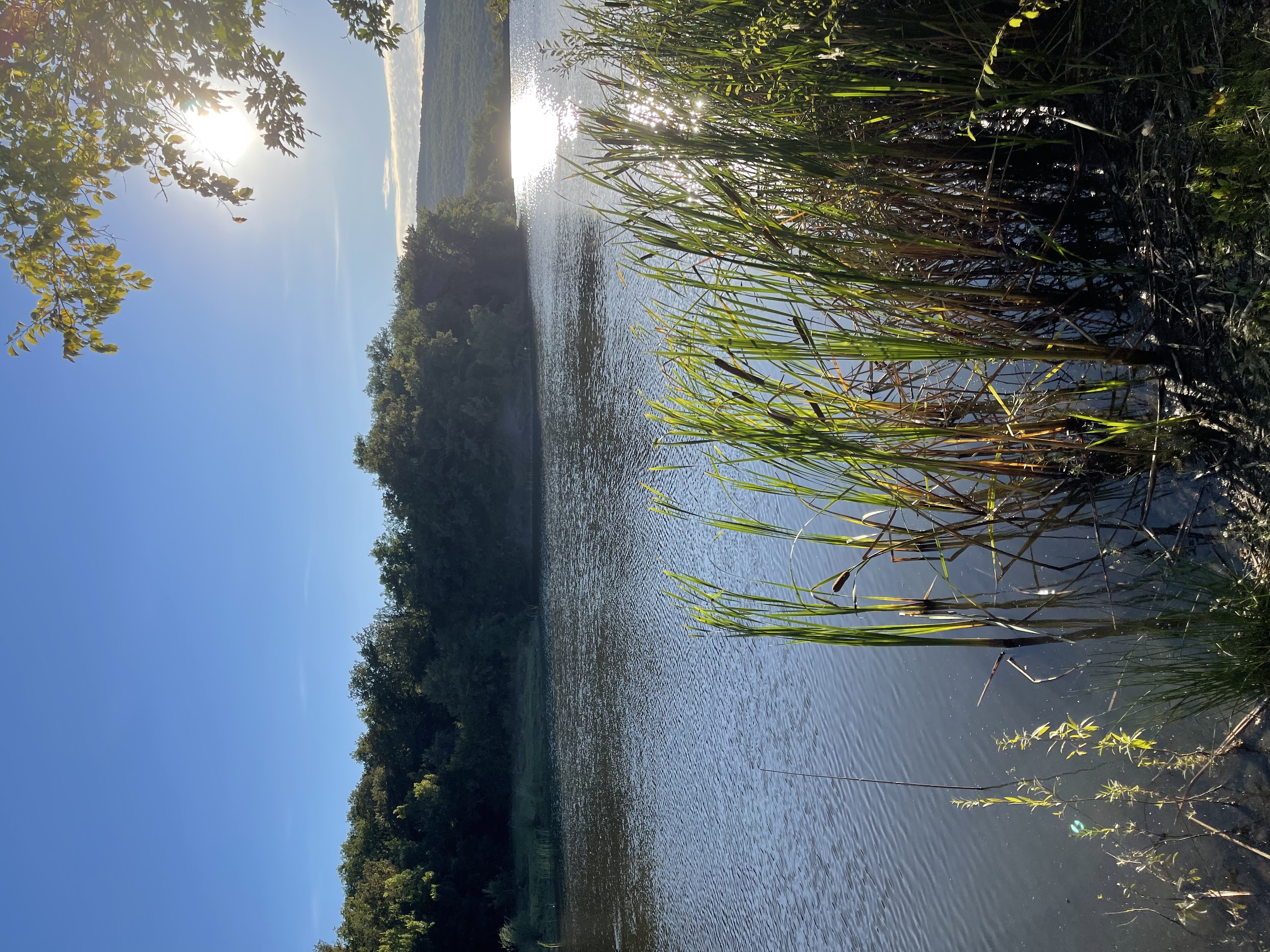 Фото Солнечное озеро